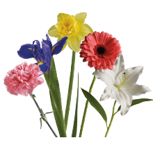 collection bouquet title